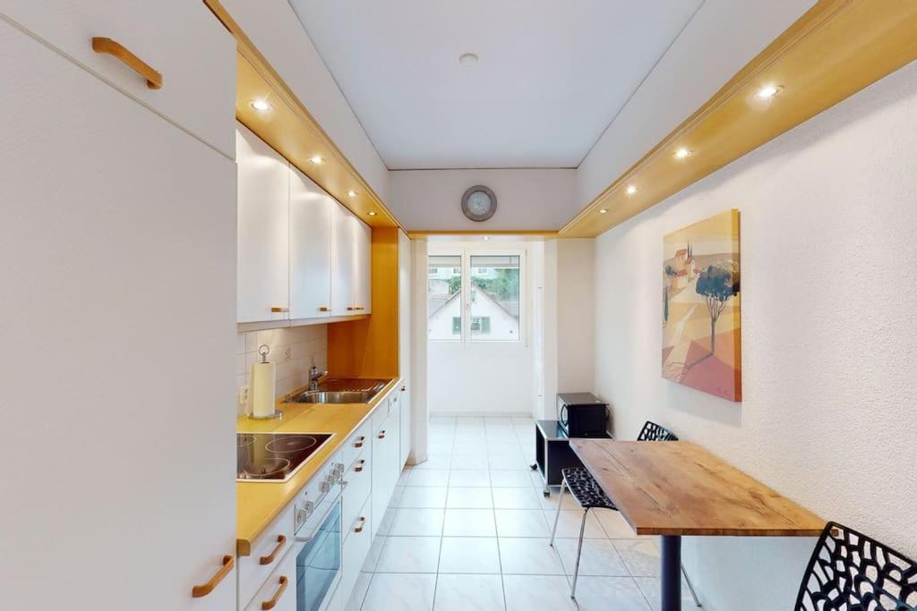 Executive 1 Bedroom Flat, City Center Zurich Extérieur photo